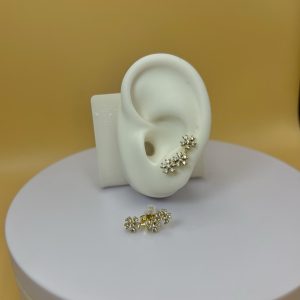 Aro trepadora florecita