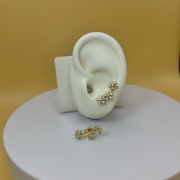 Aro trepadora florecita