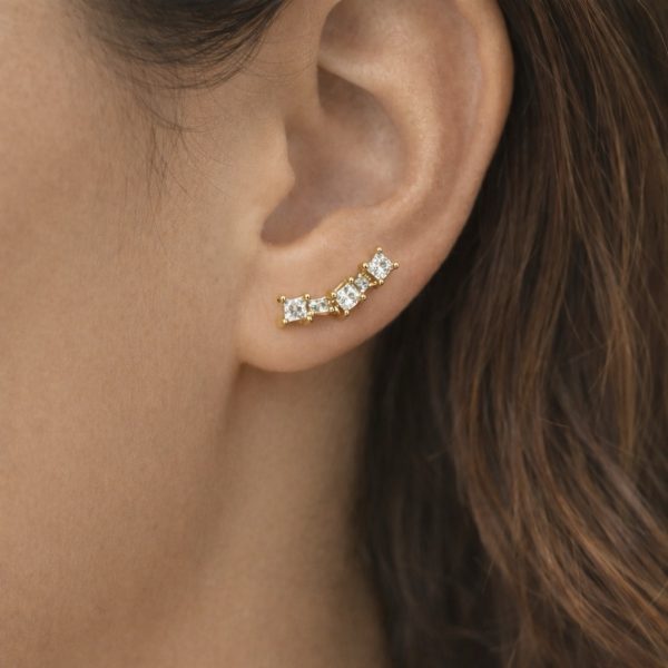 Aro trepadora piedritas